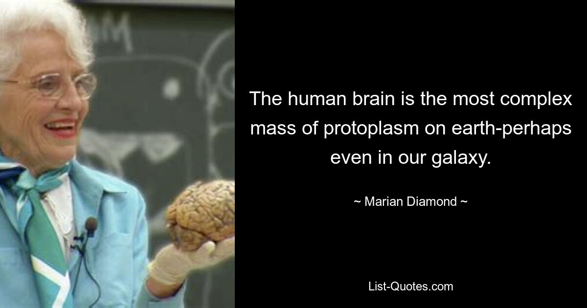 The human brain is the most complex mass of protoplasm on earth-perhaps even in our galaxy. — © Marian Diamond