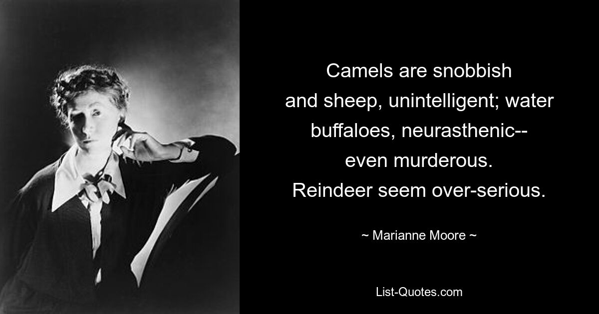 Camels are snobbish
and sheep, unintelligent; water buffaloes, neurasthenic--
even murderous.
Reindeer seem over-serious. — © Marianne Moore