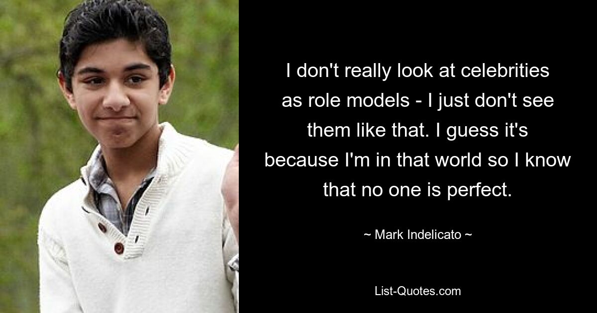 I don't really look at celebrities as role models - I just don't see them like that. I guess it's because I'm in that world so I know that no one is perfect. — © Mark Indelicato