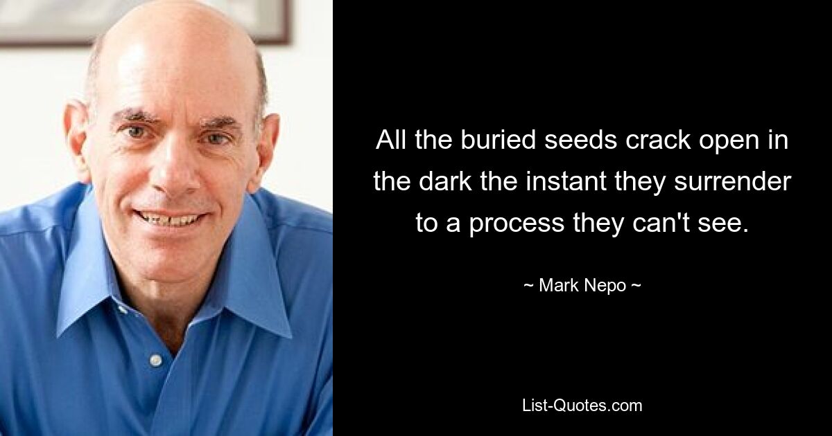 All the buried seeds crack open in the dark the instant they surrender to a process they can't see. — © Mark Nepo