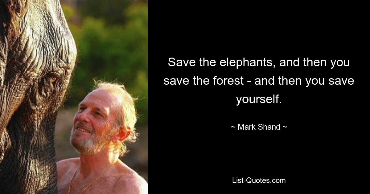 Save the elephants, and then you save the forest - and then you save yourself. — © Mark Shand