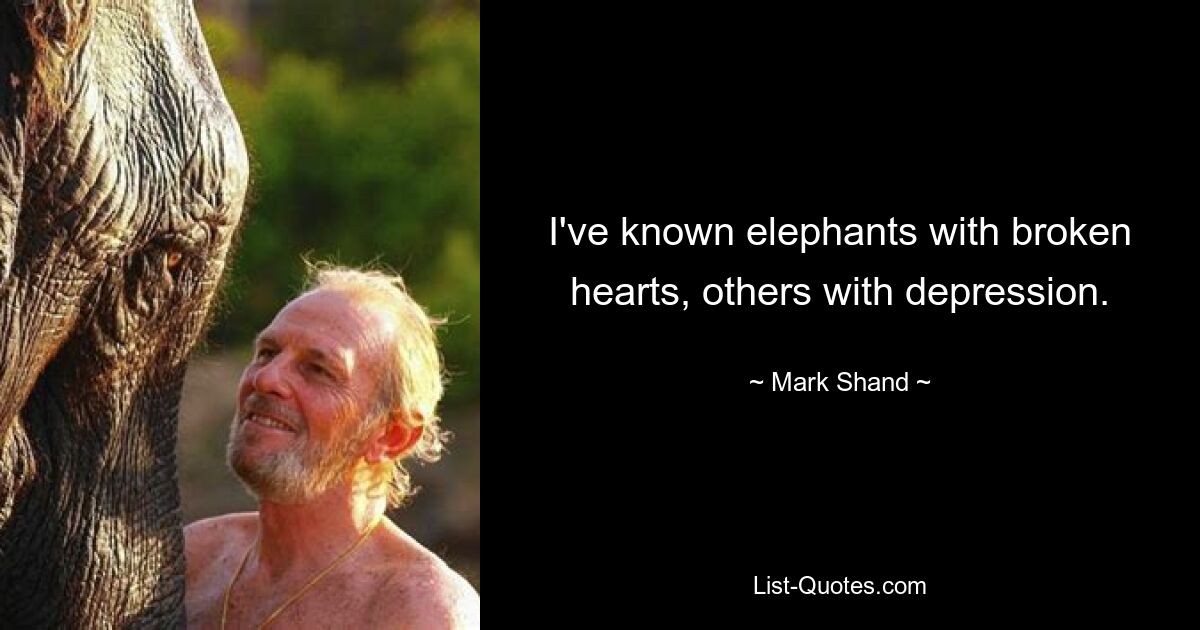 I've known elephants with broken hearts, others with depression. — © Mark Shand