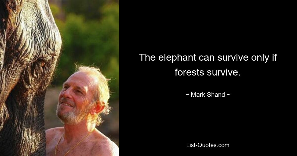 The elephant can survive only if forests survive. — © Mark Shand