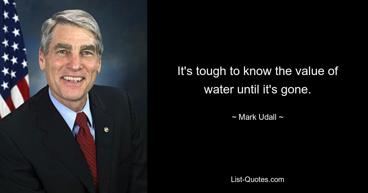 It's tough to know the value of water until it's gone. — © Mark Udall