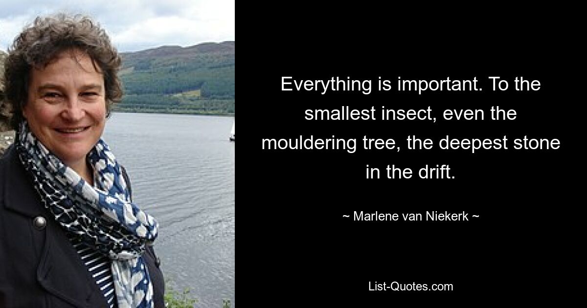 Everything is important. To the smallest insect, even the mouldering tree, the deepest stone in the drift. — © Marlene van Niekerk