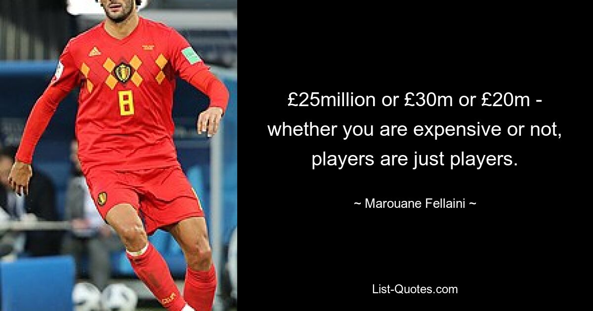 £25million or £30m or £20m - whether you are expensive or not, players are just players. — © Marouane Fellaini