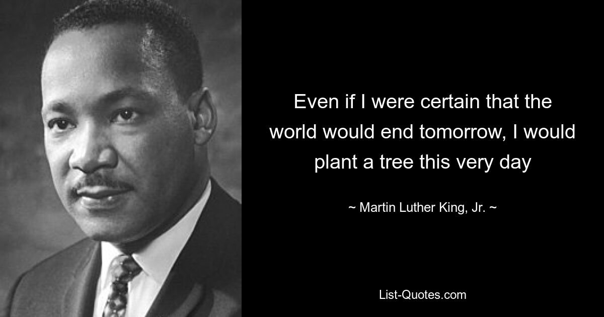 Even if I were certain that the world would end tomorrow, I would plant a tree this very day — © Martin Luther King, Jr.