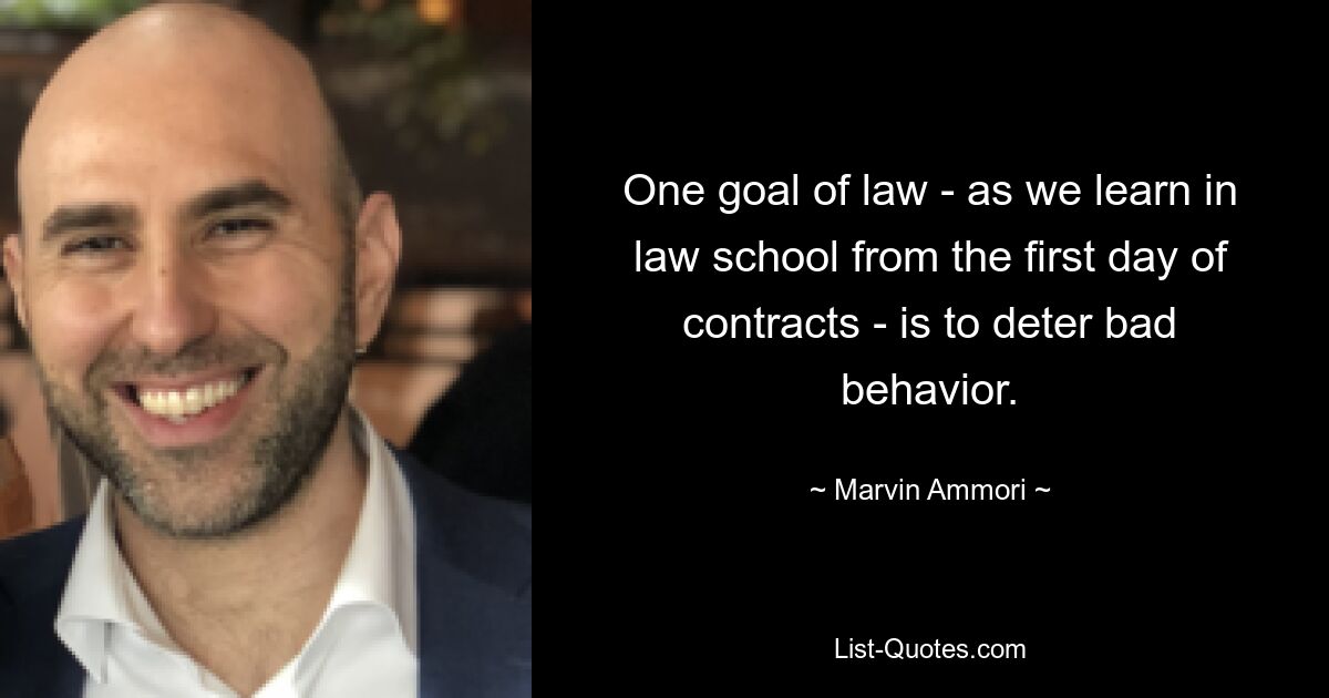 One goal of law - as we learn in law school from the first day of contracts - is to deter bad behavior. — © Marvin Ammori