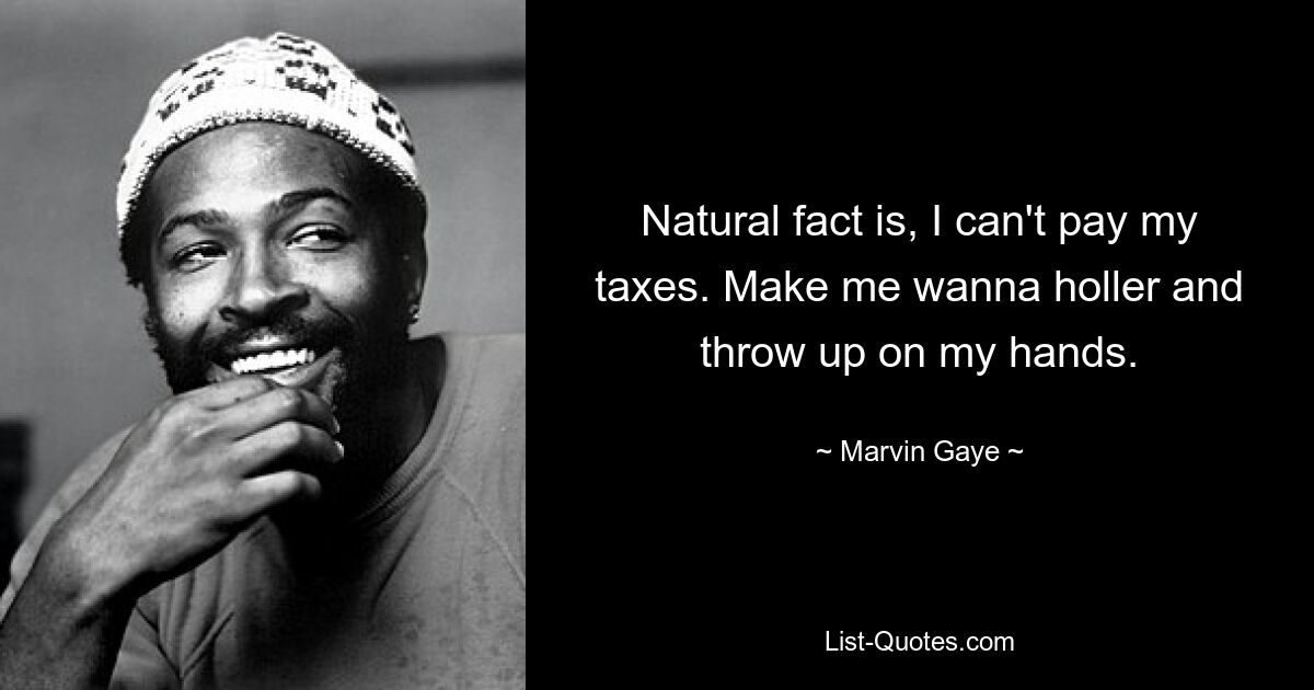 Natural fact is, I can't pay my taxes. Make me wanna holler and throw up on my hands. — © Marvin Gaye