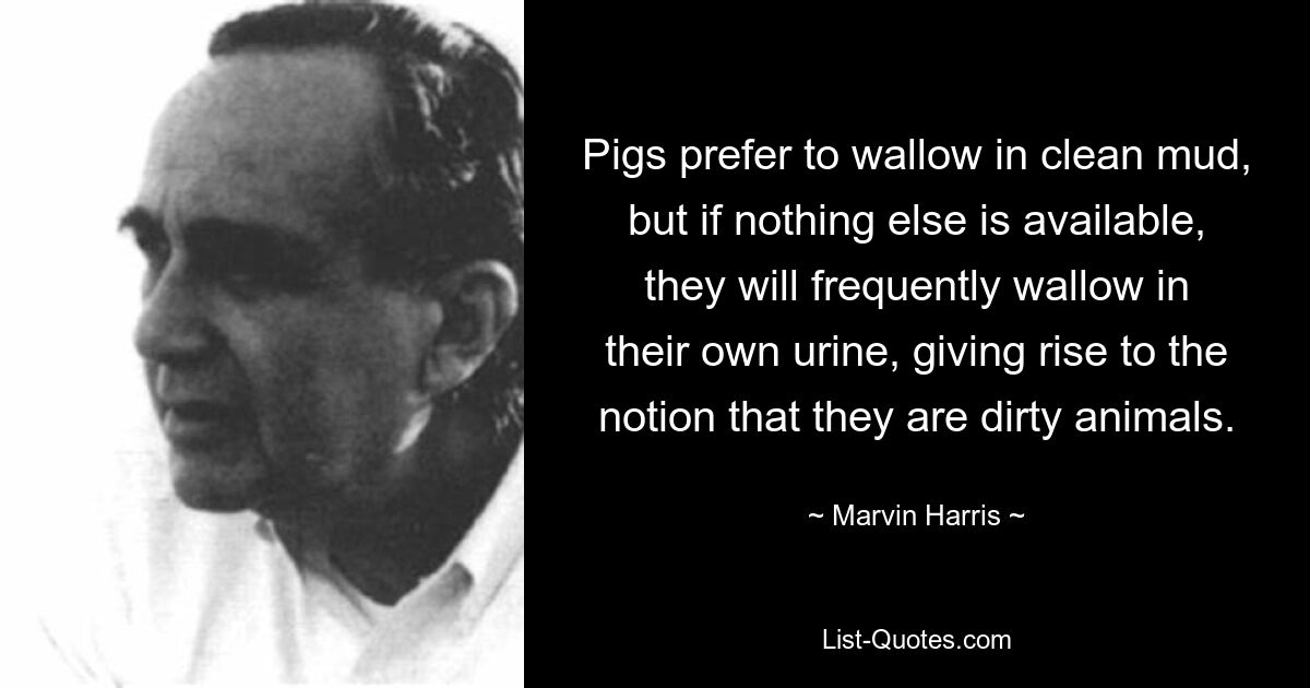 Pigs prefer to wallow in clean mud, but if nothing else is available, they will frequently wallow in their own urine, giving rise to the notion that they are dirty animals. — © Marvin Harris