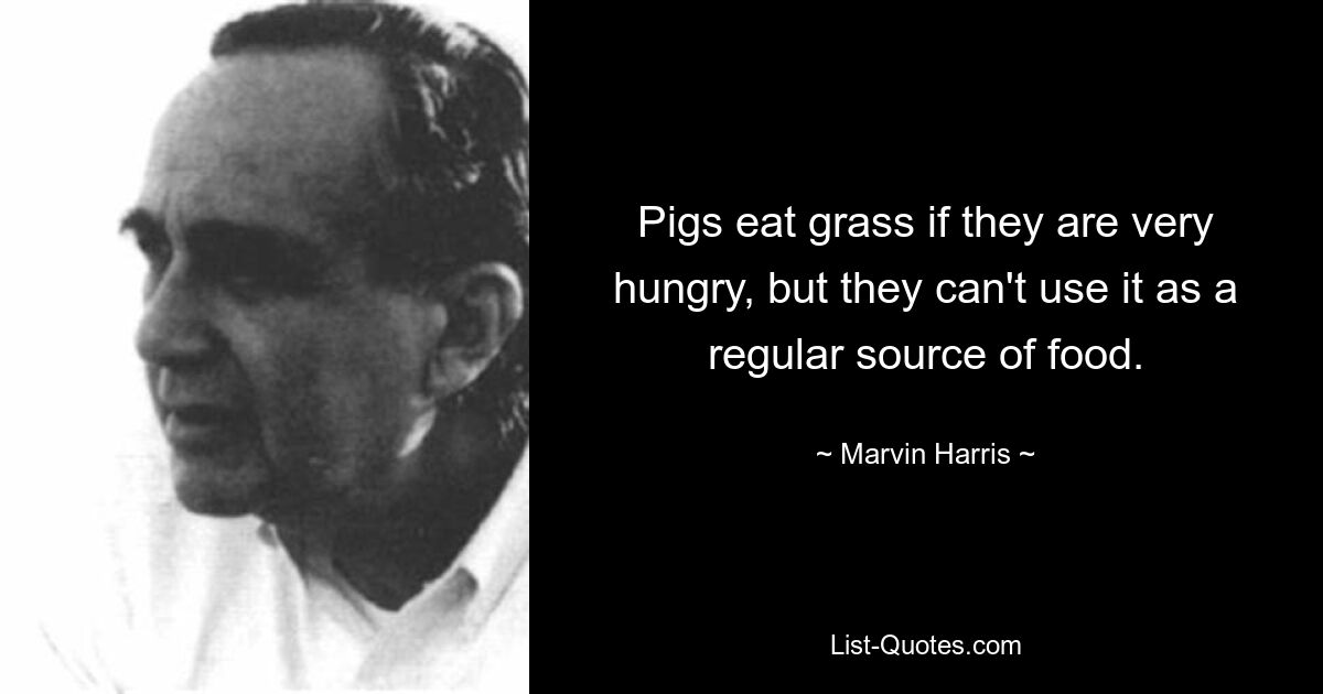 Pigs eat grass if they are very hungry, but they can't use it as a regular source of food. — © Marvin Harris