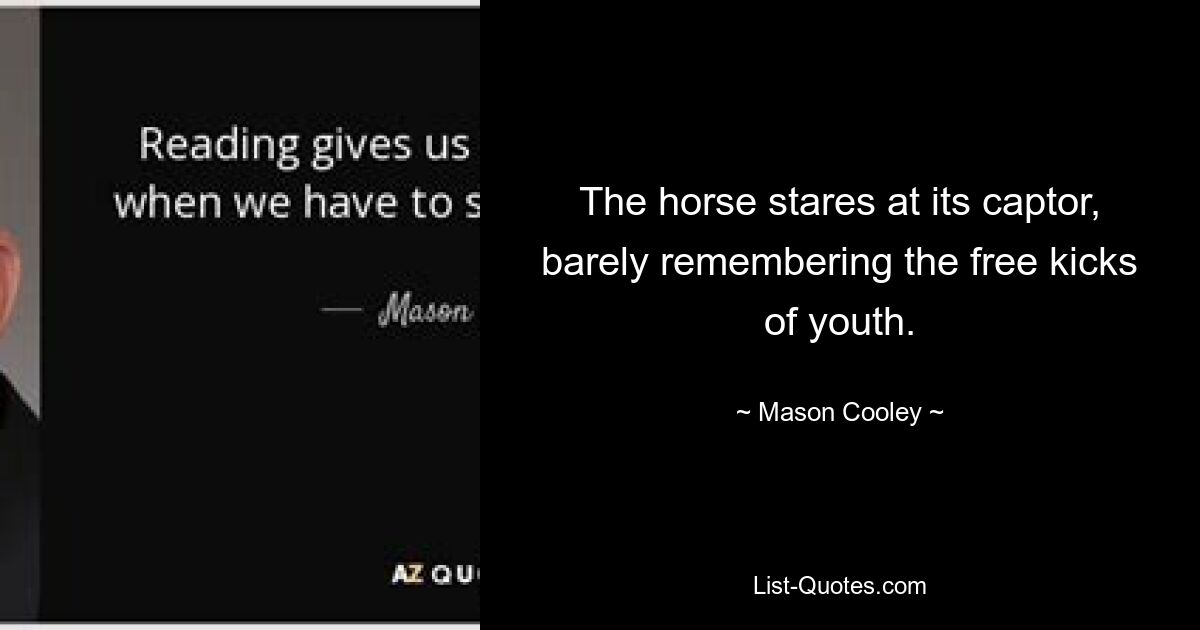 The horse stares at its captor, barely remembering the free kicks of youth. — © Mason Cooley