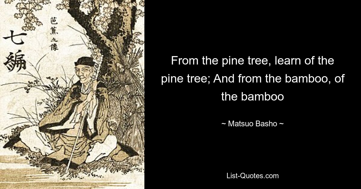 From the pine tree, learn of the pine tree; And from the bamboo, of the bamboo — © Matsuo Basho