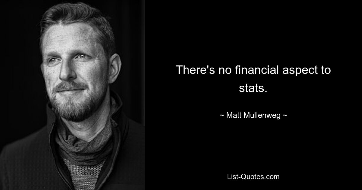 There's no financial aspect to stats. — © Matt Mullenweg