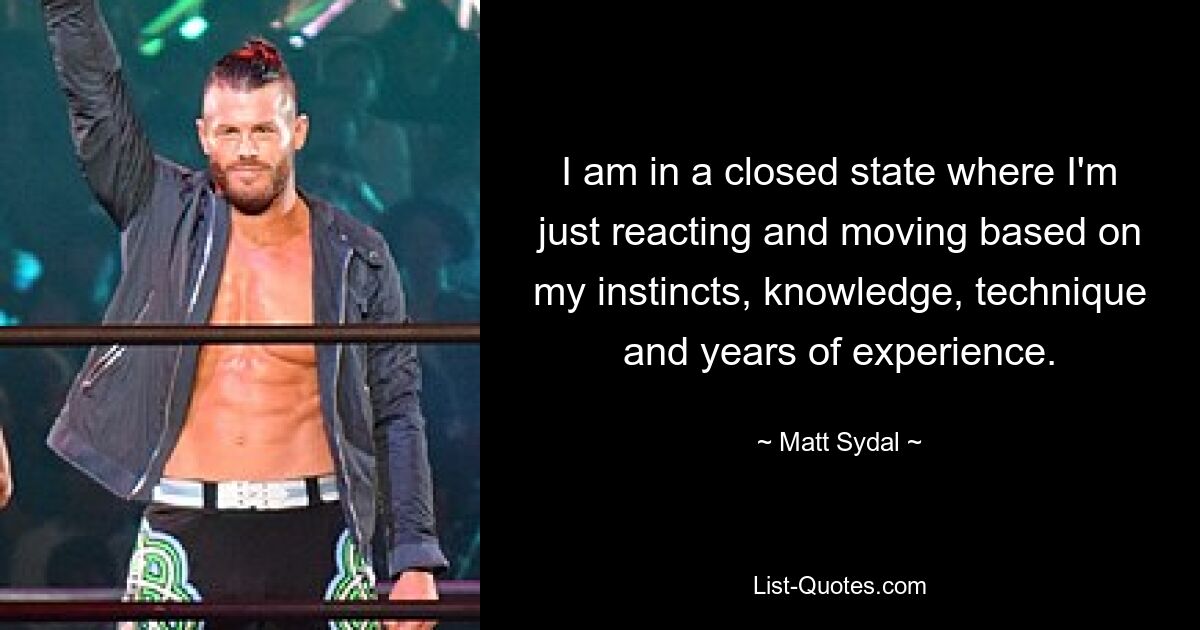 I am in a closed state where I'm just reacting and moving based on my instincts, knowledge, technique and years of experience. — © Matt Sydal