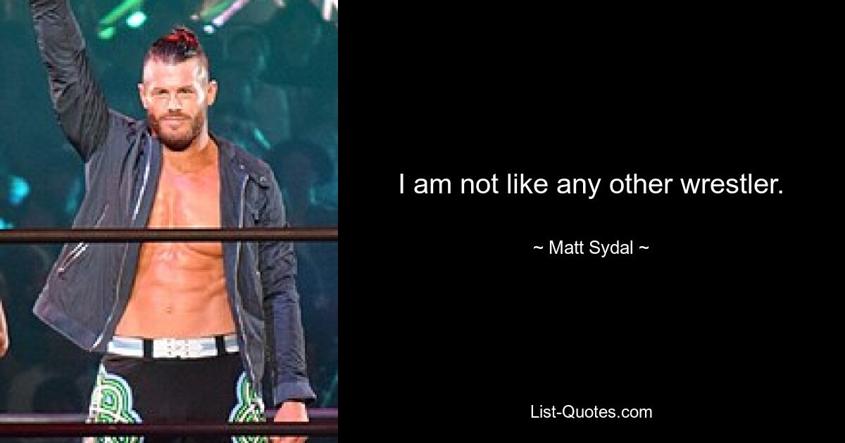 I am not like any other wrestler. — © Matt Sydal