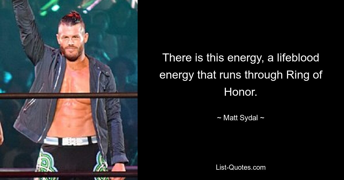 There is this energy, a lifeblood energy that runs through Ring of Honor. — © Matt Sydal