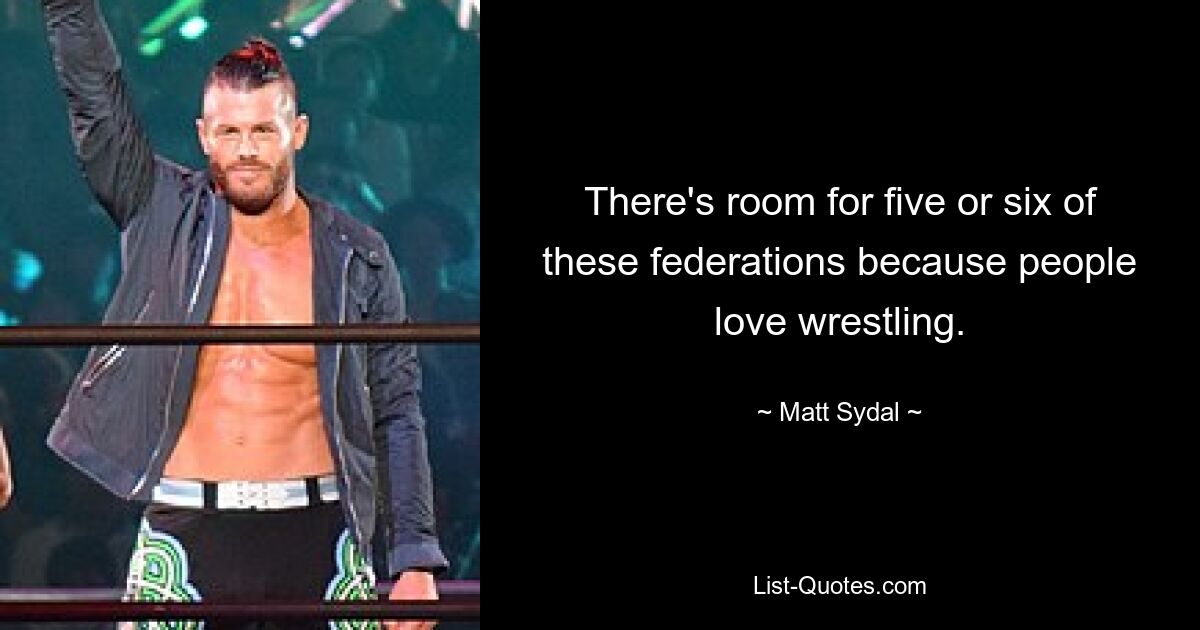 There's room for five or six of these federations because people love wrestling. — © Matt Sydal