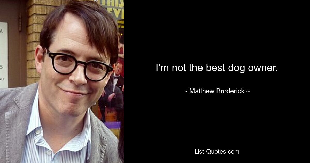 I'm not the best dog owner. — © Matthew Broderick