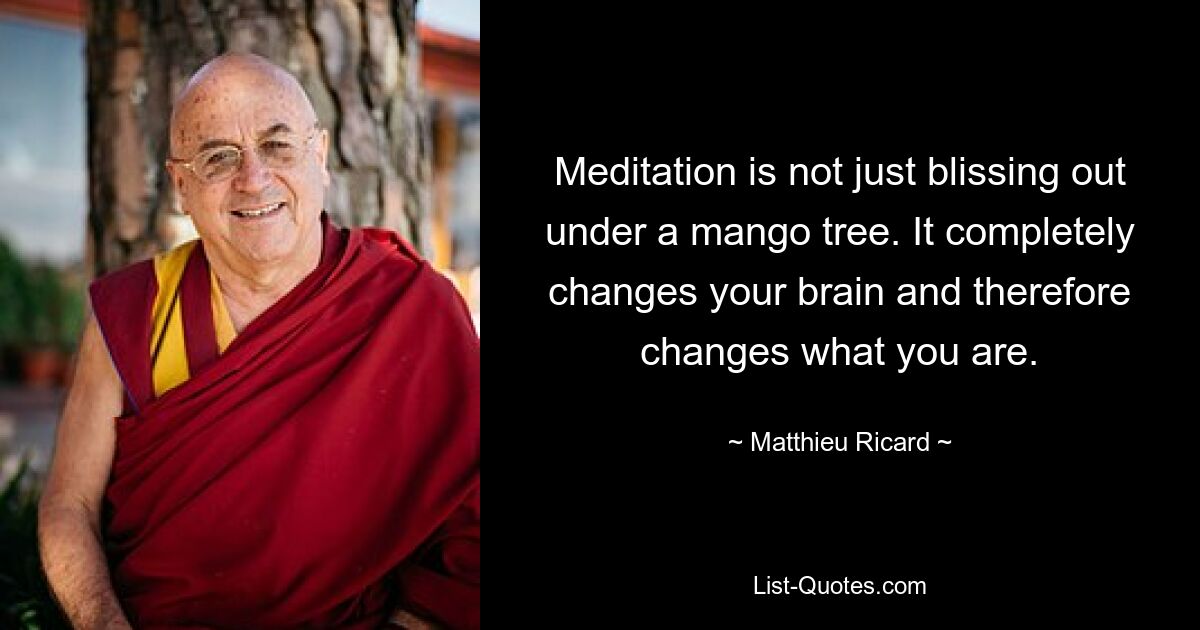 Meditation is not just blissing out under a mango tree. It completely changes your brain and therefore changes what you are. — © Matthieu Ricard