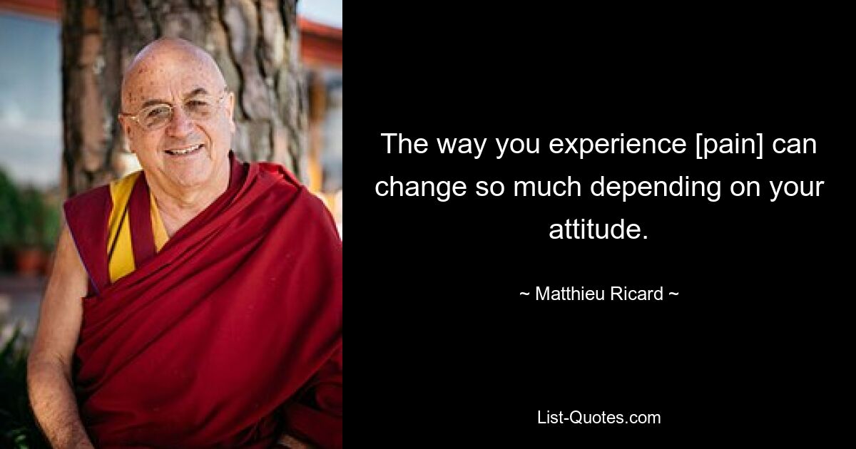 The way you experience [pain] can change so much depending on your attitude. — © Matthieu Ricard