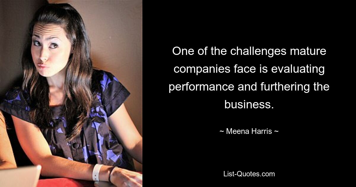 One of the challenges mature companies face is evaluating performance and furthering the business. — © Meena Harris