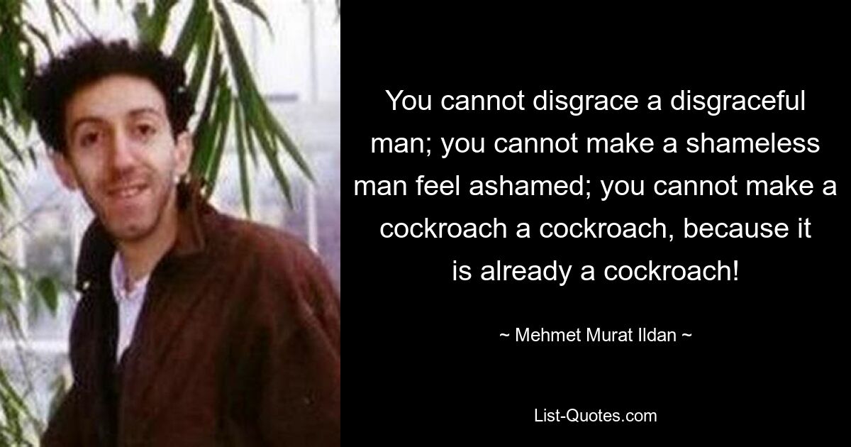 You cannot disgrace a disgraceful man; you cannot make a shameless man feel ashamed; you cannot make a cockroach a cockroach, because it is already a cockroach! — © Mehmet Murat Ildan