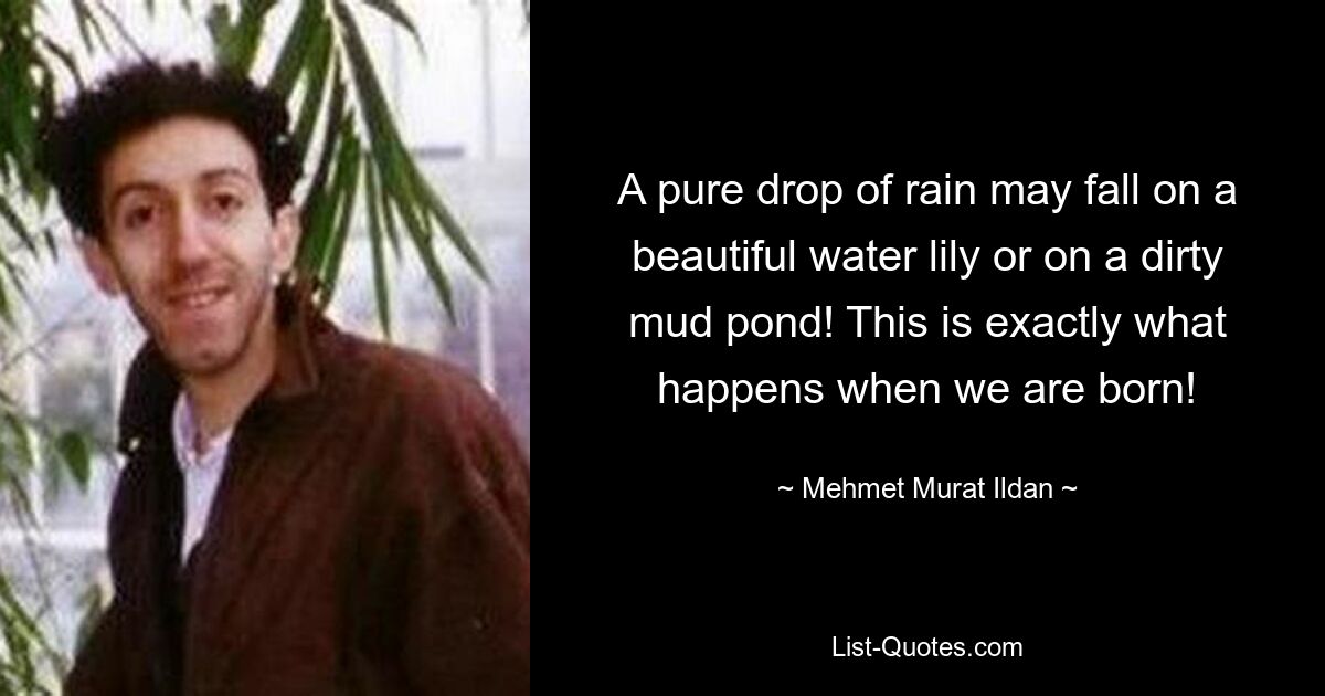 A pure drop of rain may fall on a beautiful water lily or on a dirty mud pond! This is exactly what happens when we are born! — © Mehmet Murat Ildan