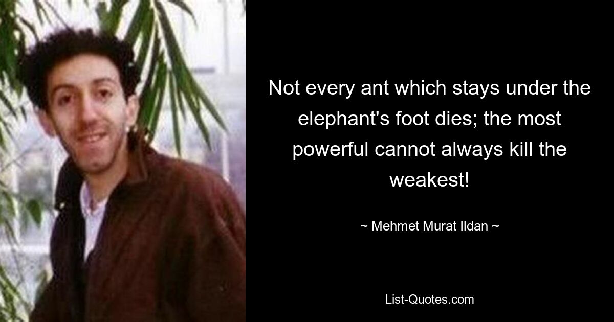 Not every ant which stays under the elephant's foot dies; the most powerful cannot always kill the weakest! — © Mehmet Murat Ildan