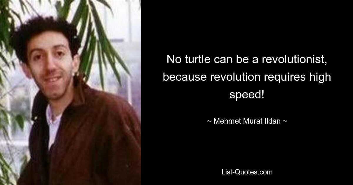 No turtle can be a revolutionist, because revolution requires high speed! — © Mehmet Murat Ildan