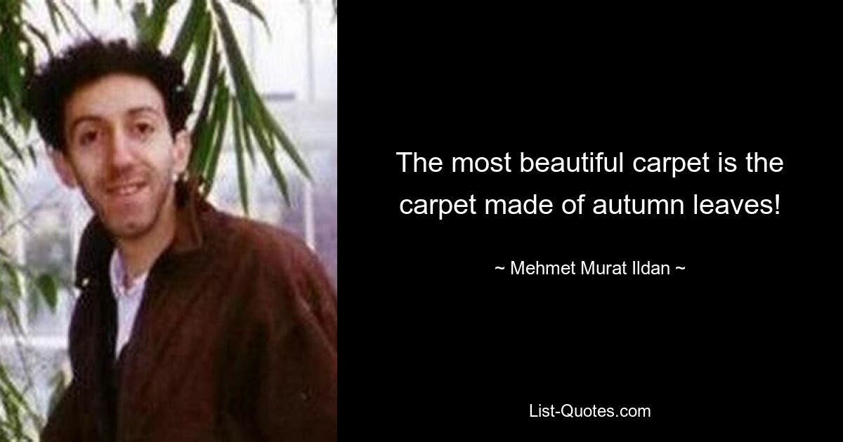 The most beautiful carpet is the carpet made of autumn leaves! — © Mehmet Murat Ildan