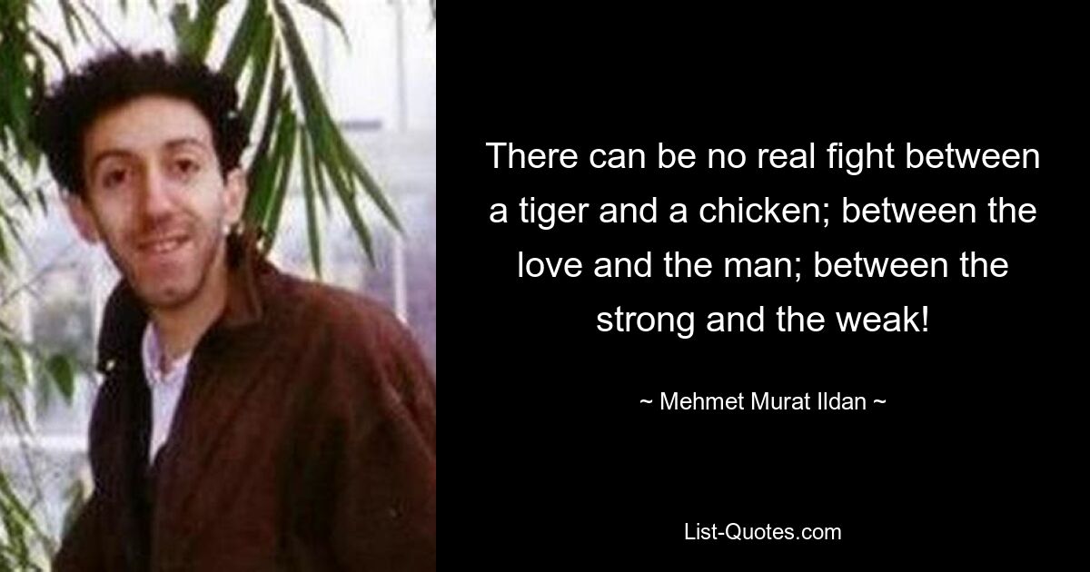 There can be no real fight between a tiger and a chicken; between the love and the man; between the strong and the weak! — © Mehmet Murat Ildan