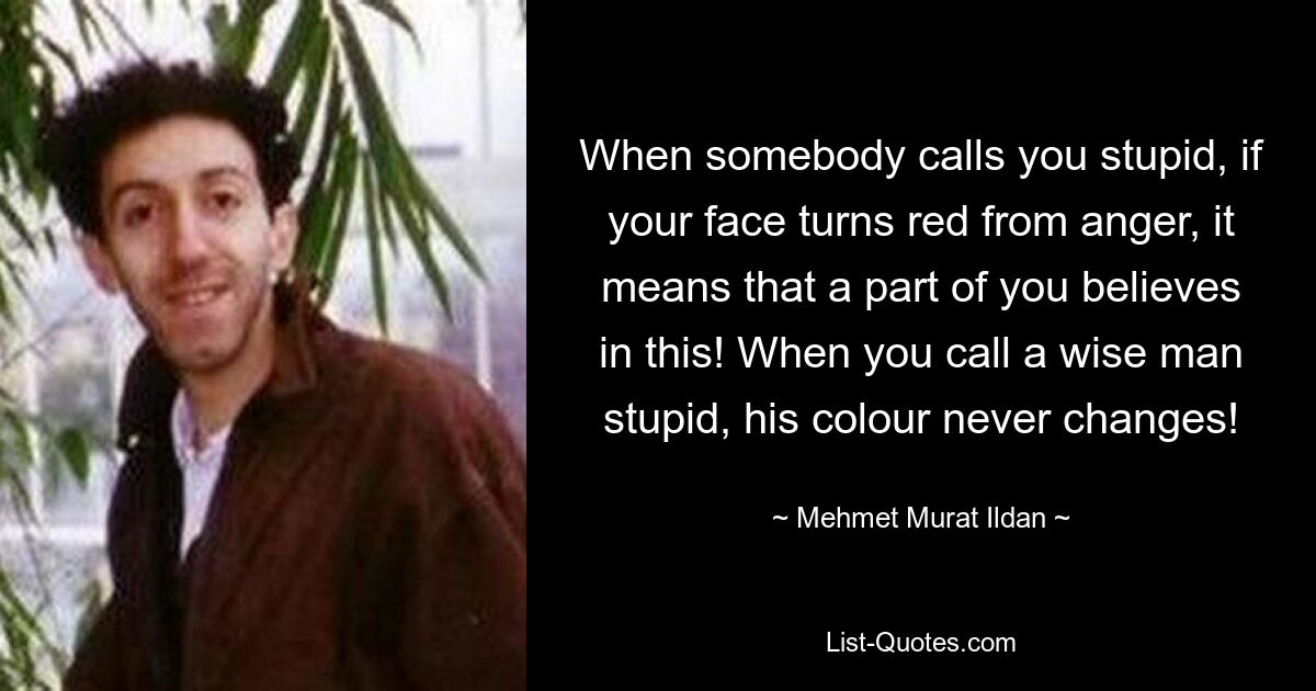 When somebody calls you stupid, if your face turns red from anger, it means that a part of you believes in this! When you call a wise man stupid, his colour never changes! — © Mehmet Murat Ildan