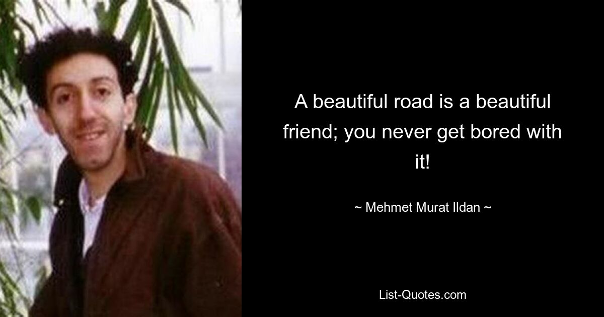 A beautiful road is a beautiful friend; you never get bored with it! — © Mehmet Murat Ildan