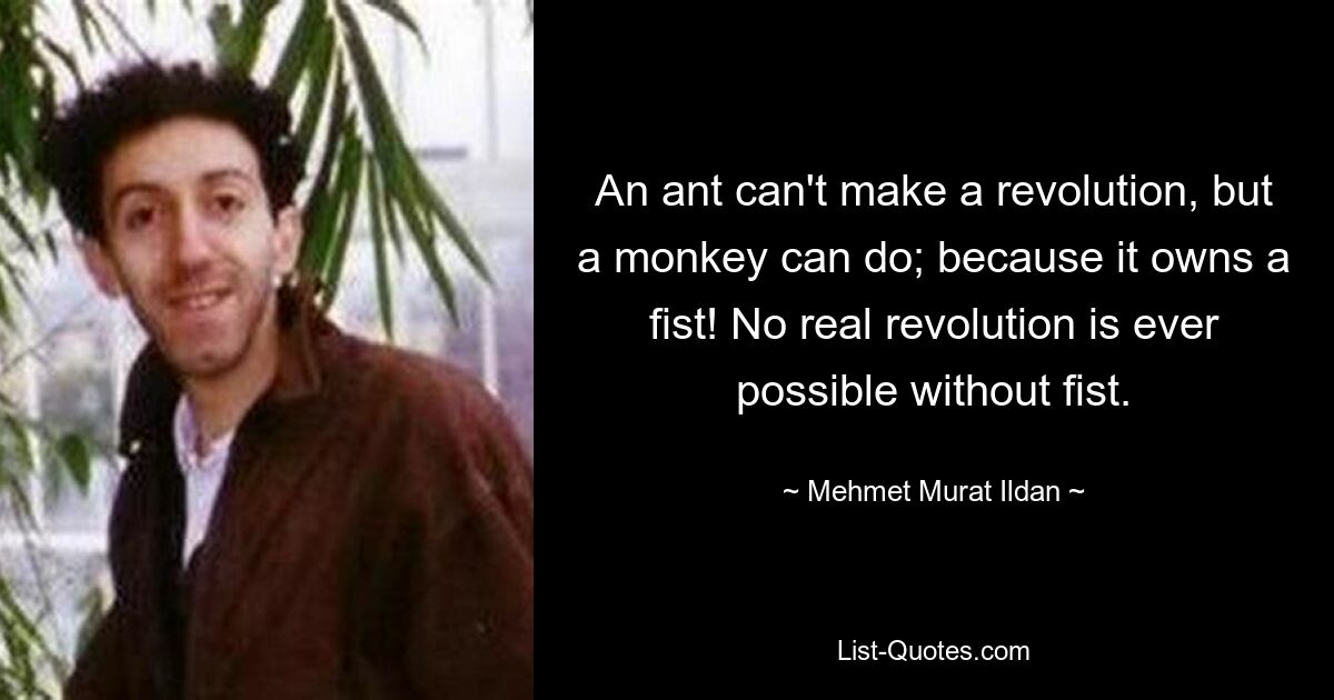 An ant can't make a revolution, but a monkey can do; because it owns a fist! No real revolution is ever possible without fist. — © Mehmet Murat Ildan