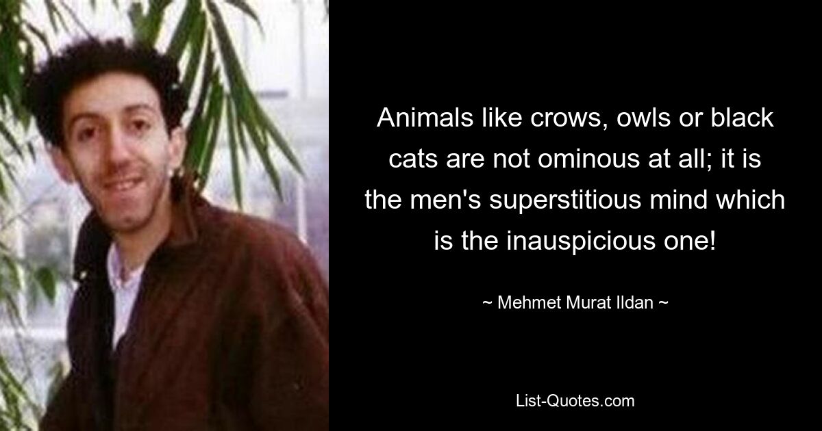 Animals like crows, owls or black cats are not ominous at all; it is the men's superstitious mind which is the inauspicious one! — © Mehmet Murat Ildan