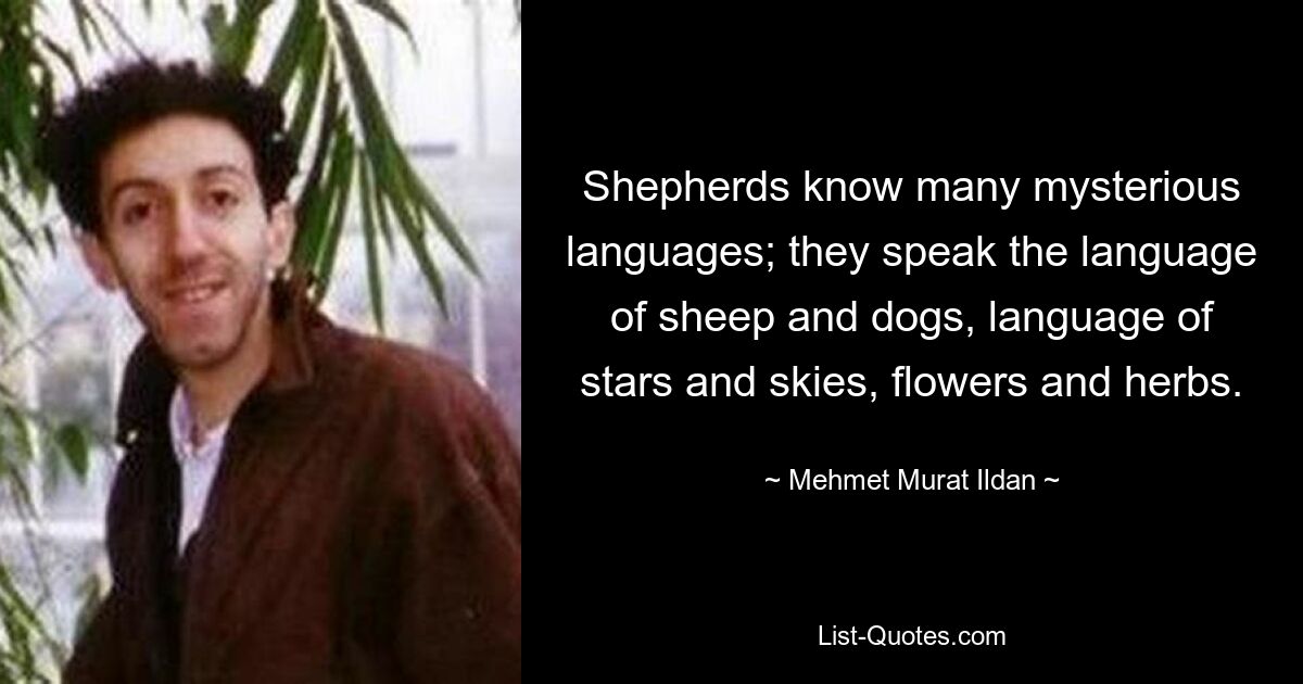 Shepherds know many mysterious languages; they speak the language of sheep and dogs, language of stars and skies, flowers and herbs. — © Mehmet Murat Ildan