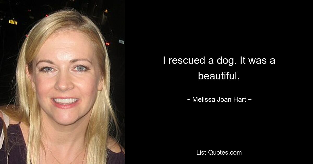 I rescued a dog. It was a beautiful. — © Melissa Joan Hart