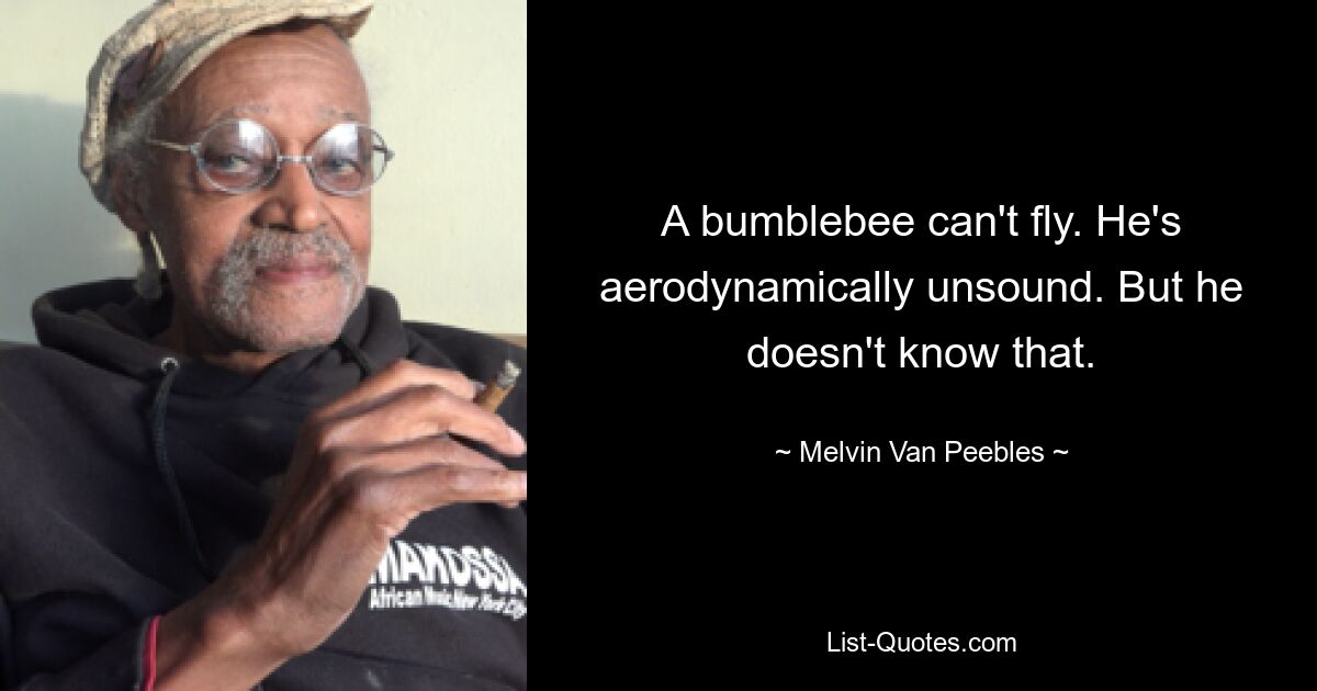 A bumblebee can't fly. He's aerodynamically unsound. But he doesn't know that. — © Melvin Van Peebles