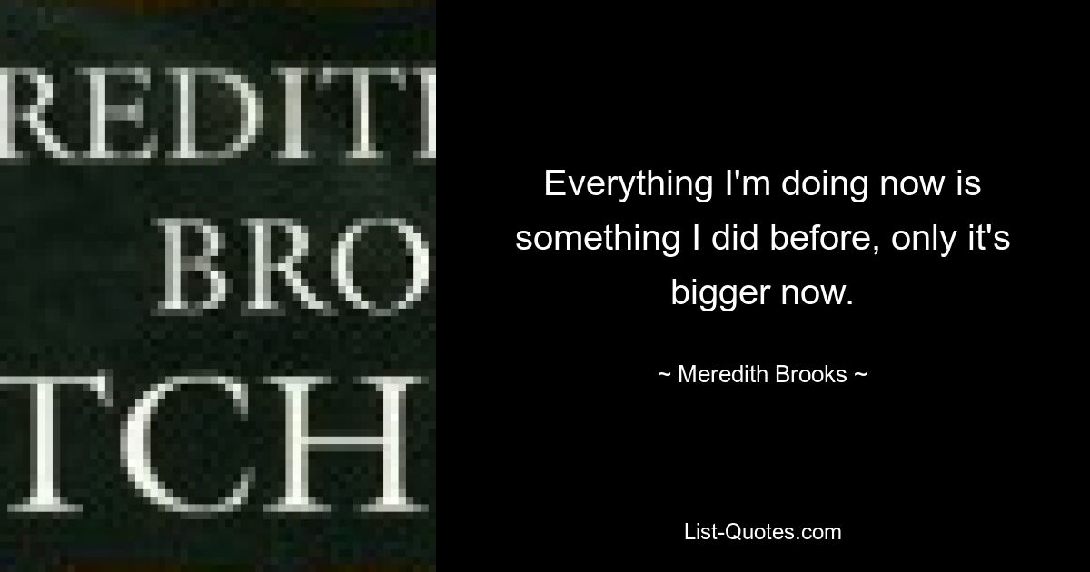 Everything I'm doing now is something I did before, only it's bigger now. — © Meredith Brooks