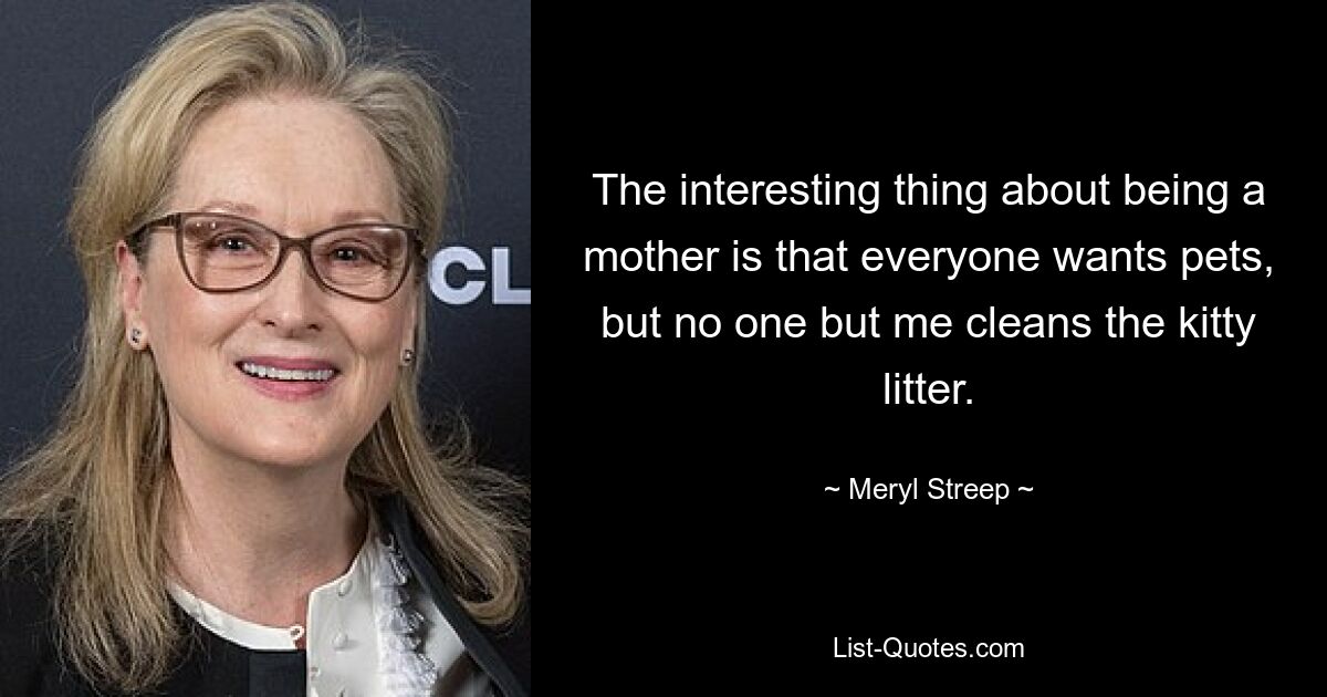 The interesting thing about being a mother is that everyone wants pets, but no one but me cleans the kitty litter. — © Meryl Streep