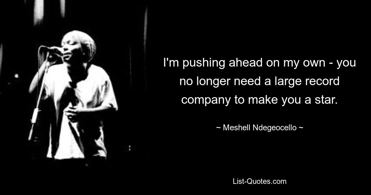 I'm pushing ahead on my own - you no longer need a large record company to make you a star. — © Meshell Ndegeocello