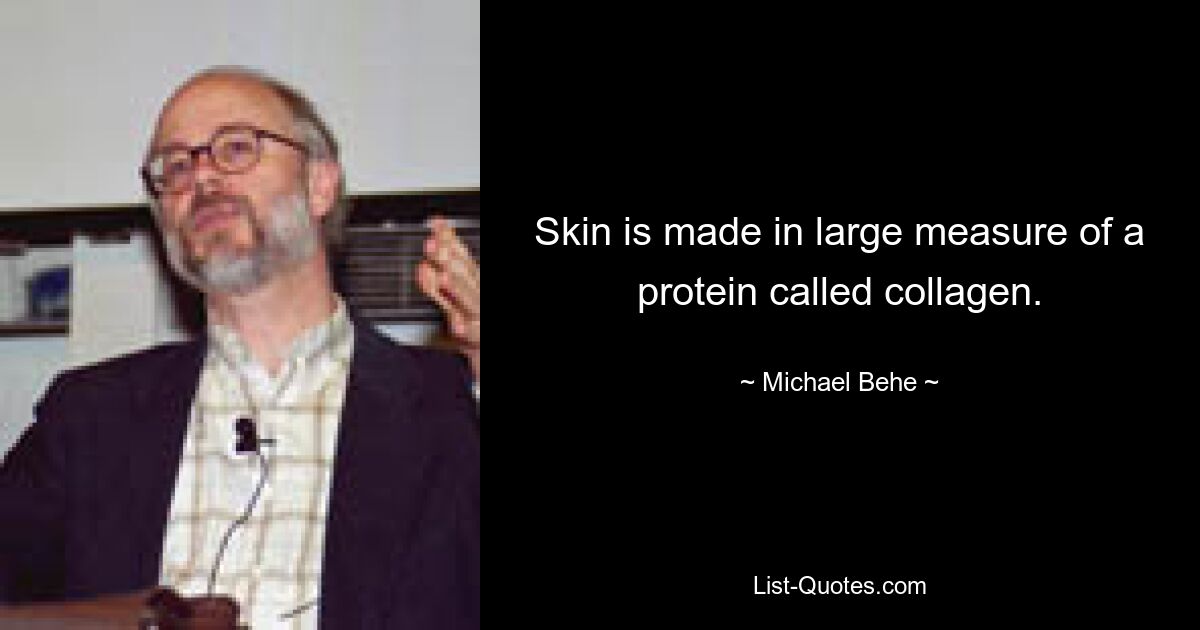 Skin is made in large measure of a protein called collagen. — © Michael Behe