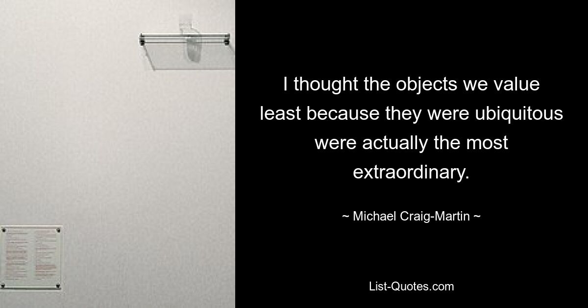 I thought the objects we value least because they were ubiquitous were actually the most extraordinary. — © Michael Craig-Martin