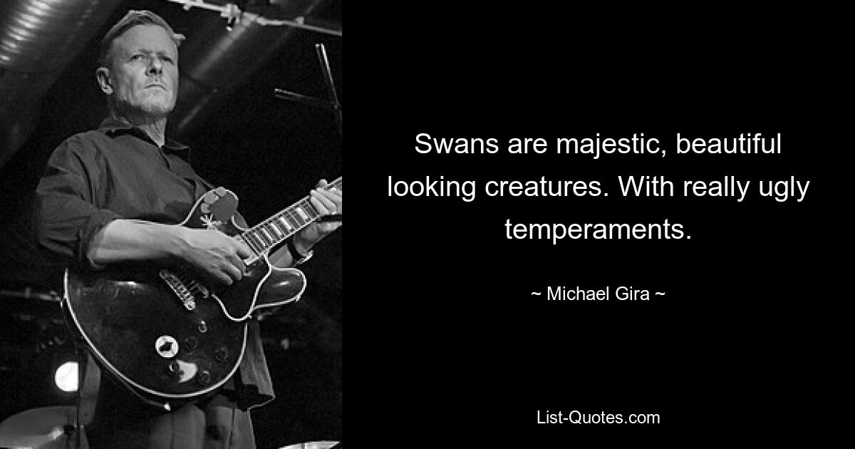 Swans are majestic, beautiful looking creatures. With really ugly temperaments. — © Michael Gira