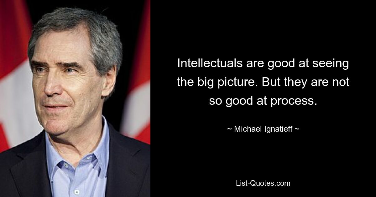 Intellectuals are good at seeing the big picture. But they are not so good at process. — © Michael Ignatieff