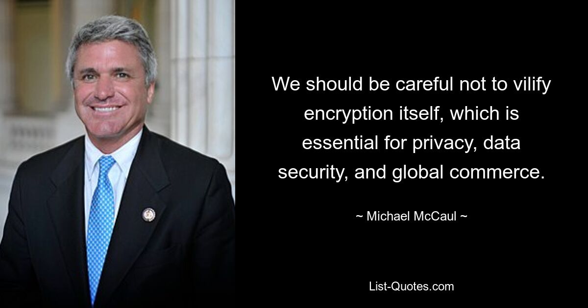 We should be careful not to vilify encryption itself, which is essential for privacy, data security, and global commerce. — © Michael McCaul