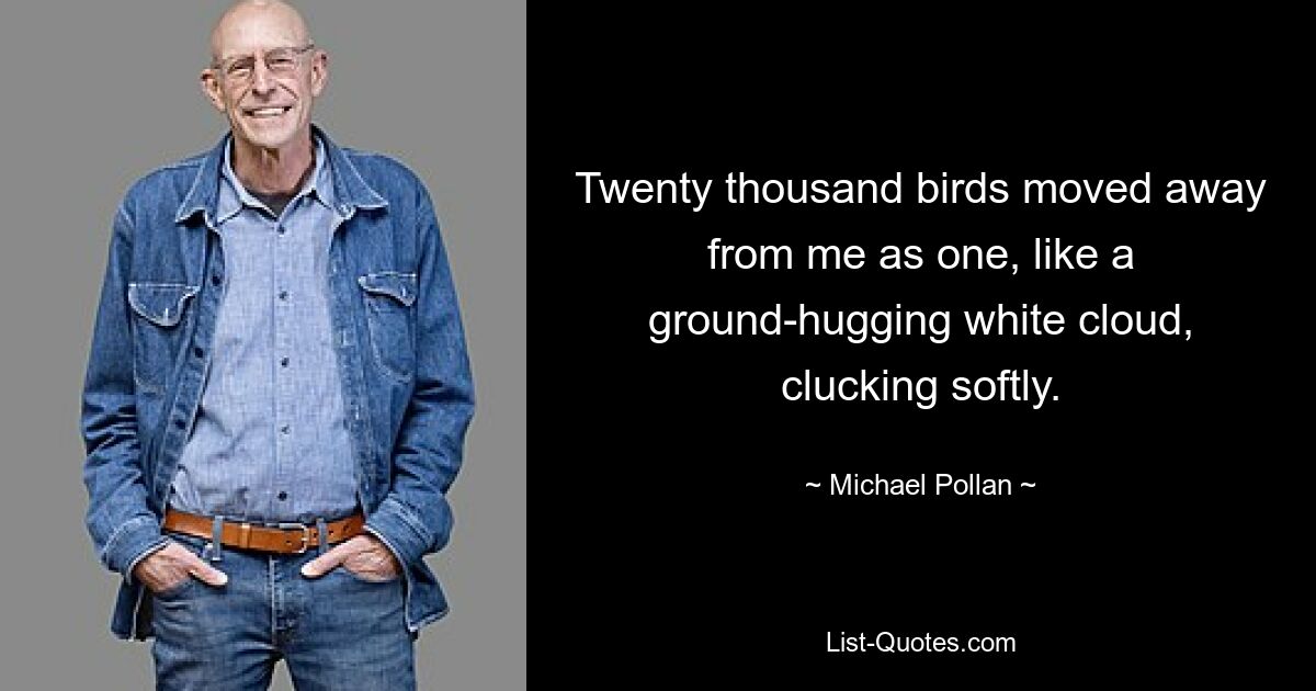 Twenty thousand birds moved away from me as one, like a ground-hugging white cloud, clucking softly. — © Michael Pollan