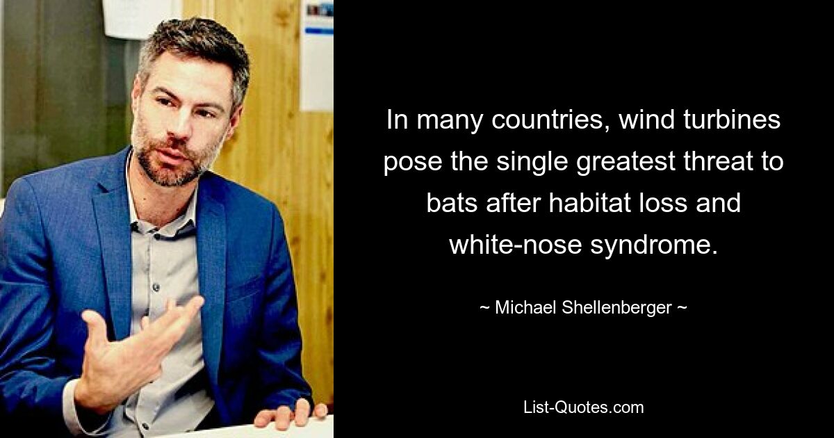 In many countries, wind turbines pose the single greatest threat to bats after habitat loss and white-nose syndrome. — © Michael Shellenberger