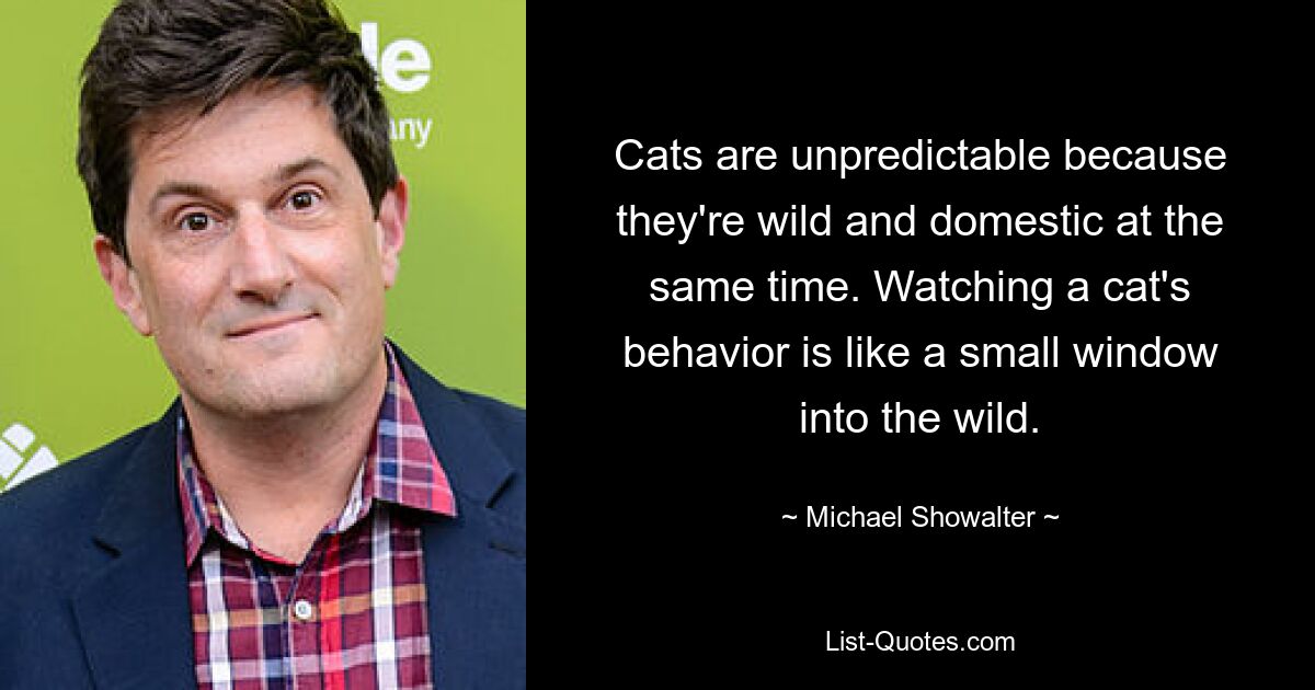 Cats are unpredictable because they're wild and domestic at the same time. Watching a cat's behavior is like a small window into the wild. — © Michael Showalter